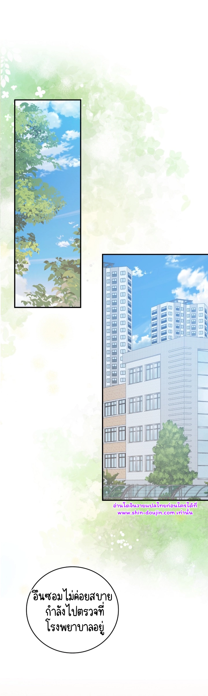 Dandelion Flower Observation Diary EP 14